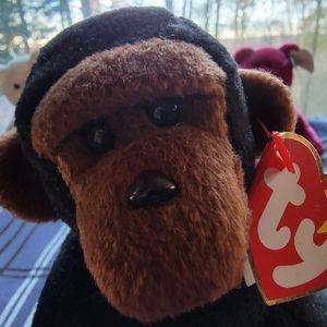 TY Original Beanie Baby Congo